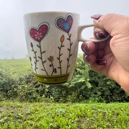 La Corte Dei Celti -10 * San Benedetto Del Querceto