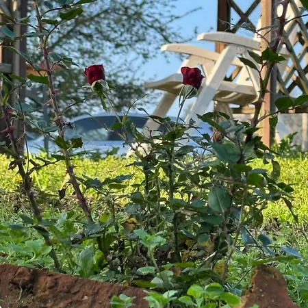 La Corte Dei Celti -10 San Benedetto Del Querceto