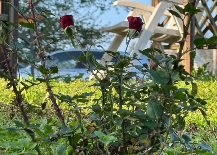 La Corte Dei Celti -10 San Benedetto Del Querceto