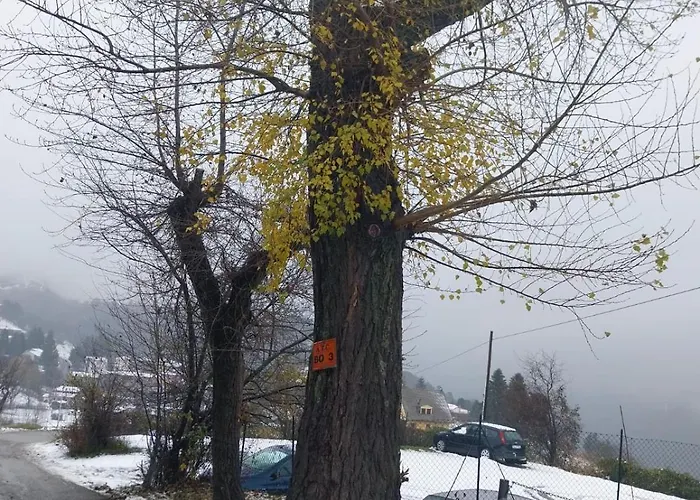 La Corte Dei Celti -10 * San Benedetto Del Querceto